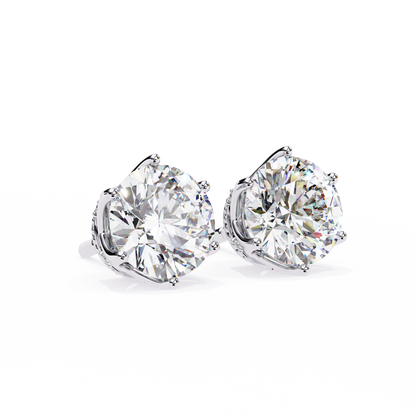 Royal Embrace Studs