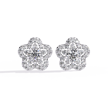 Stellar Radiance Studs