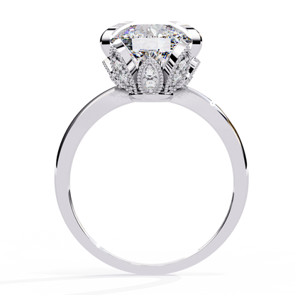 Eternal Halo Solitaire Rings